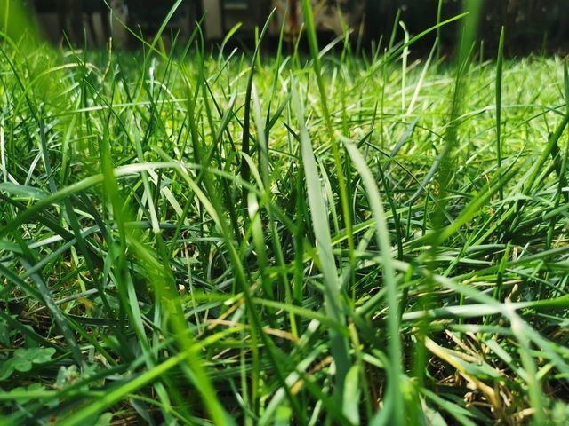 ����θ������е���ʹ