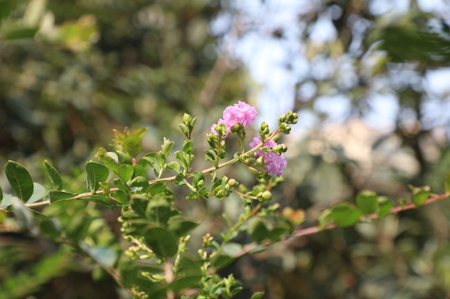 <a href=https://www.shuisutang.com.cn/ target=_blank class=infotextkey>ˮ����</a>