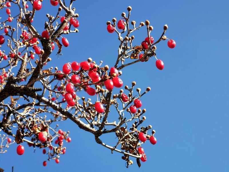 ��θ�䶯�о�������