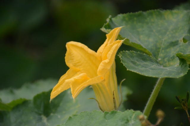 <a href=https://www.shuisutang.com.cn/ target=_blank class=infotextkey>ˮ����</a>