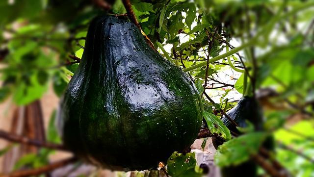 銀耳湯一般熬多少分鐘