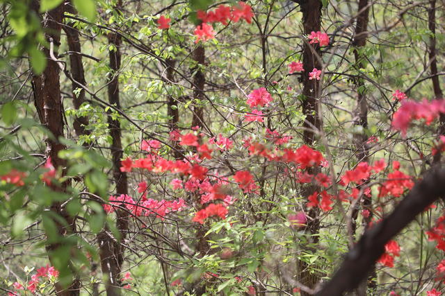 ��ͯ�᳦����ô����