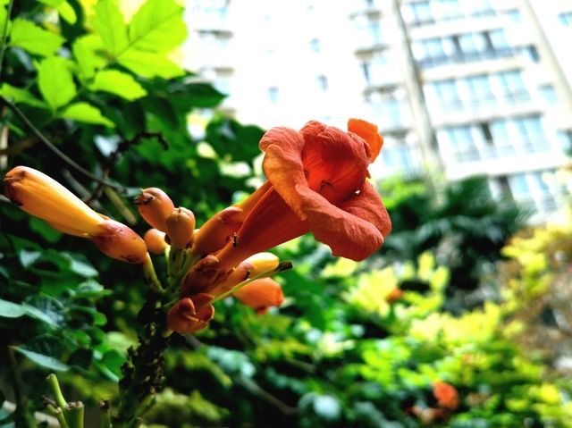 <a href=https://www.shuisutang.com.cn/ target=_blank class=infotextkey>ˮ����</a>