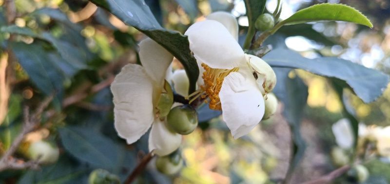 <a href=https://www.shuisutang.com.cn/ target=_blank class=infotextkey>ˮ����</a>