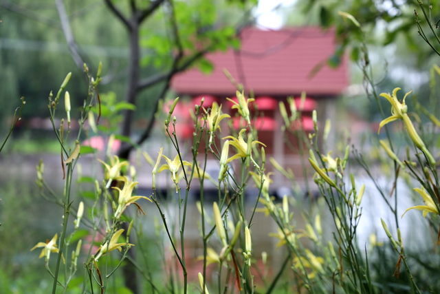 <a href=https://www.shuisutang.com.cn/ target=_blank class=infotextkey>ˮ����</a>