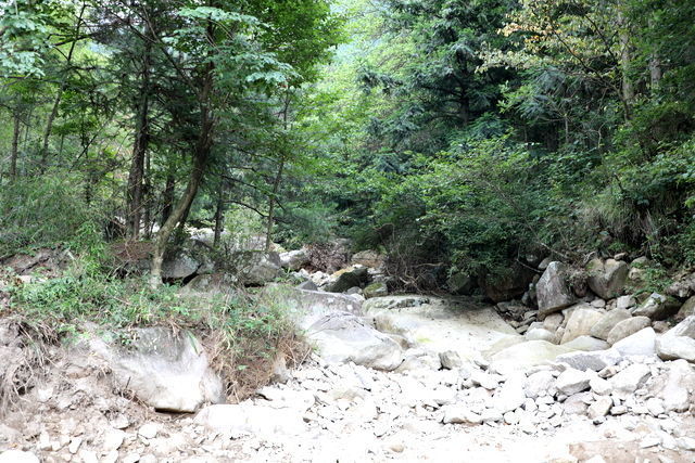 ��ʲô�����c������