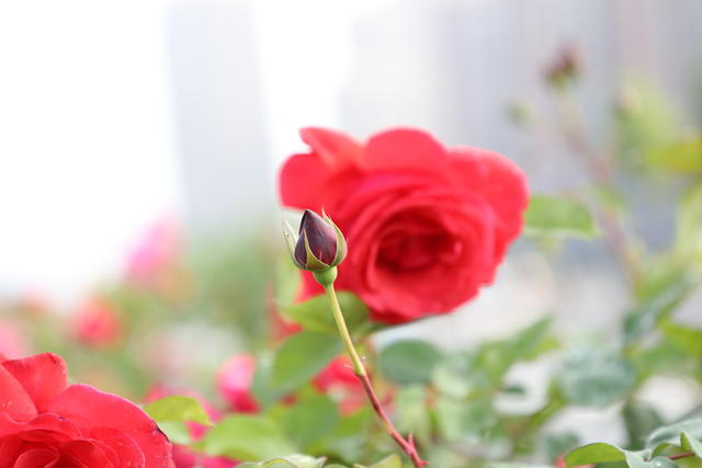 �������cθ���ÿ��Գ��O����