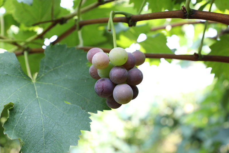 ������������������ô��