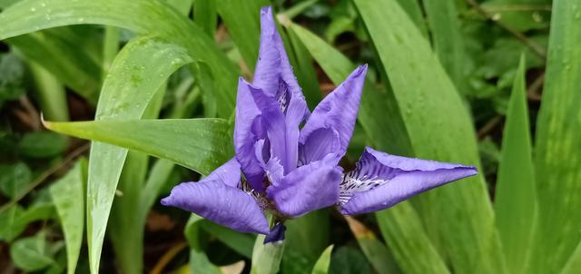 θ�������²������y����ô�k