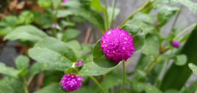 ������ô�����۴�