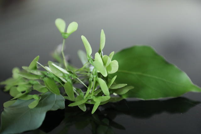 ��������������ô��