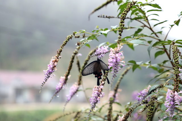 ����Ϊʲô��ˮ������