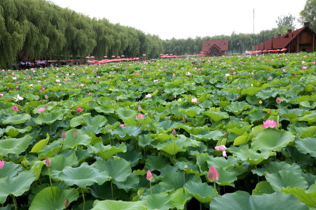 θ�����������̲��ܺ���