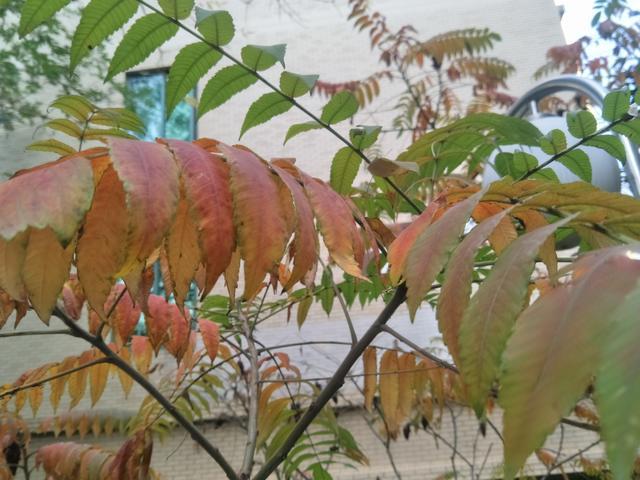 ������ô������������