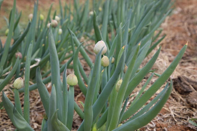 ������ƨ���Գ�ʲô�{��