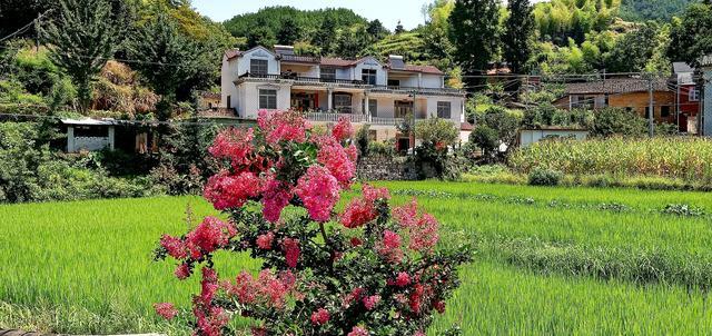 ��ô�����Ƴ����䶯