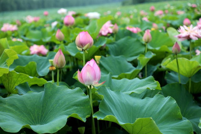 ������ô��������?