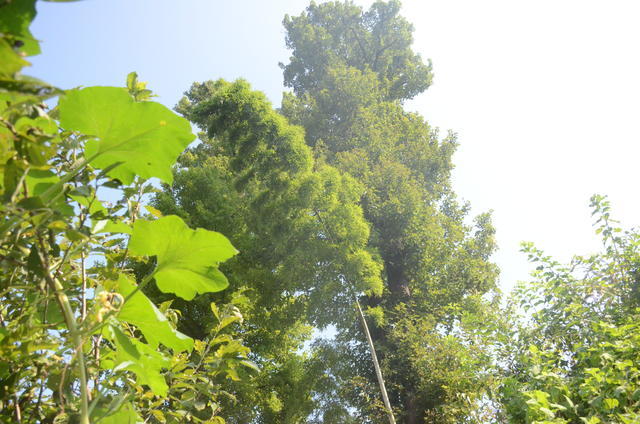 <a href=https://www.shuisutang.com.cn/ target=_blank class=infotextkey>ˮ����</a>