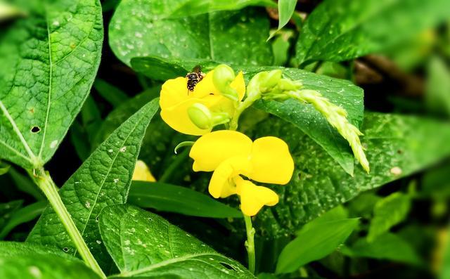 <a href=https://www.shuisutang.com.cn/ target=_blank class=infotextkey>ˮ����</a>