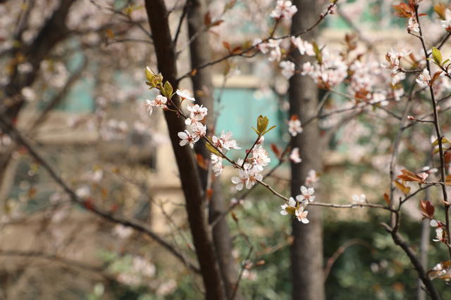 ���س�ĩ�������Ż���