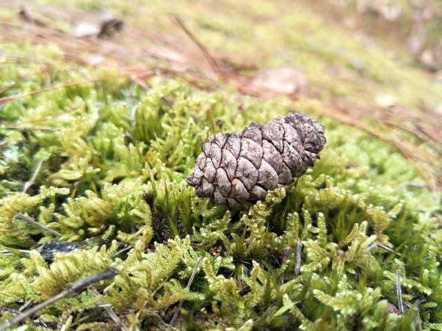 ��������ô��û���ڵ�