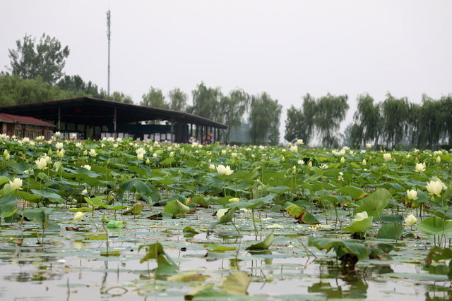 ����֢�������ӳ�θ�������