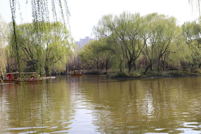 ��θ���õ����ܲ��ܳ�