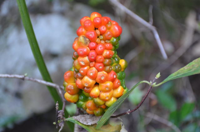 �����ĵ���Ӱ��������