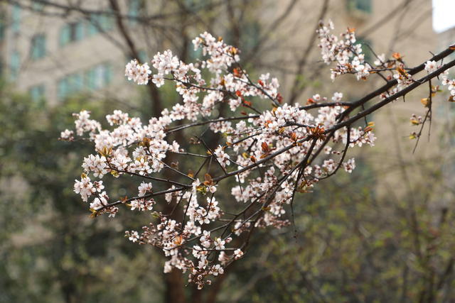 <a href=https://www.shuisutang.com.cn/ target=_blank class=infotextkey>ˮ����</a>