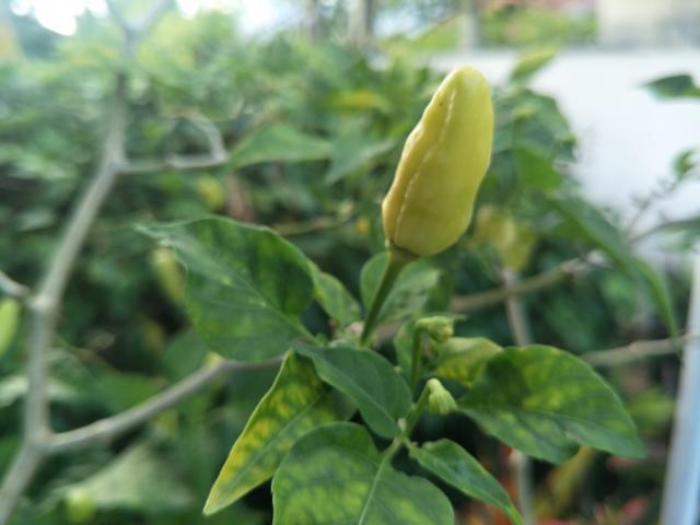 <a href=https://www.shuisutang.com.cn/ target=_blank class=infotextkey>ˮ����</a>