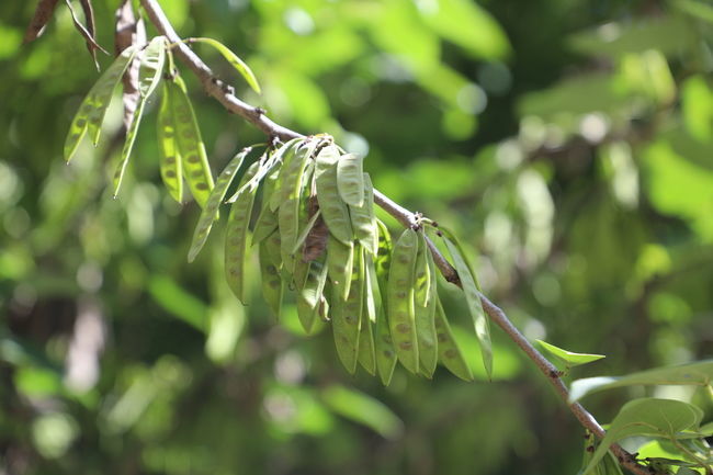 ���䶯��������ô����