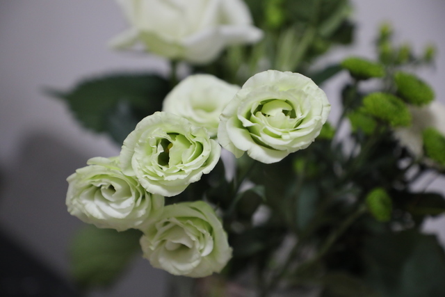 �߲�����ʱ��