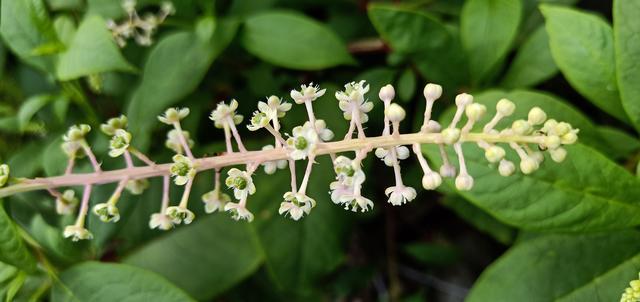 ľ����Ϊʲô�����