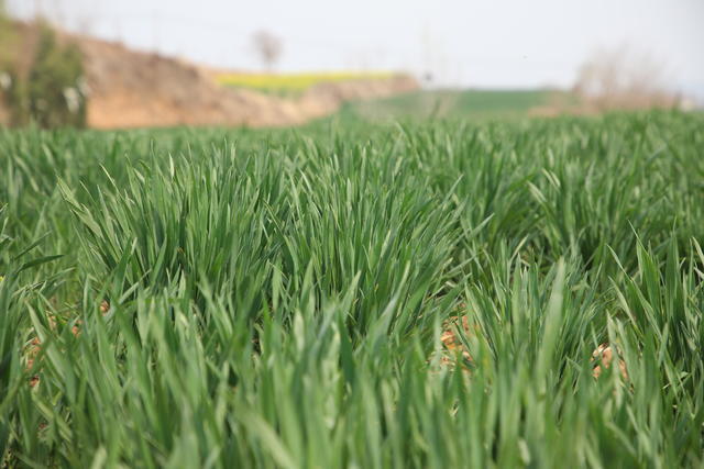 θ�е㲻�����ʲôʳ���