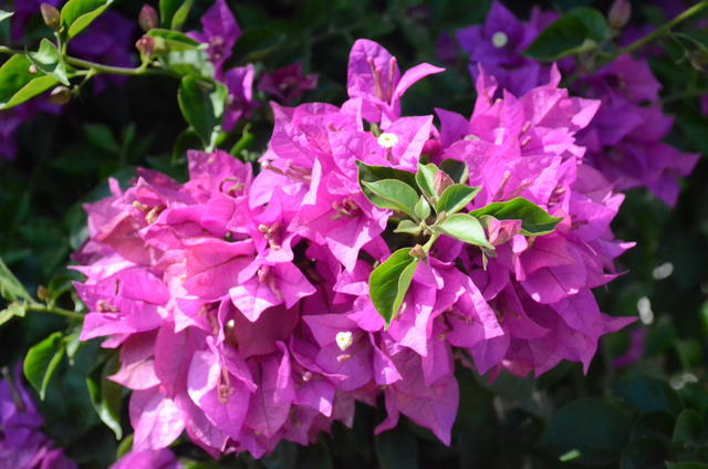 �����ʲôһ����W�ó�