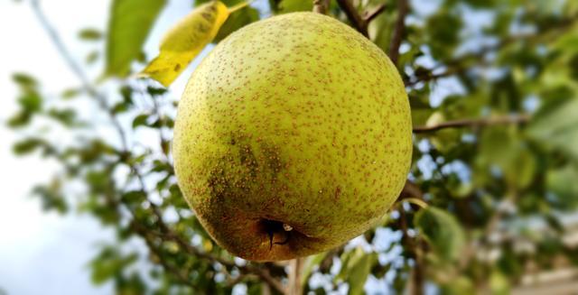 θһֱ����(d��ng)��ô����