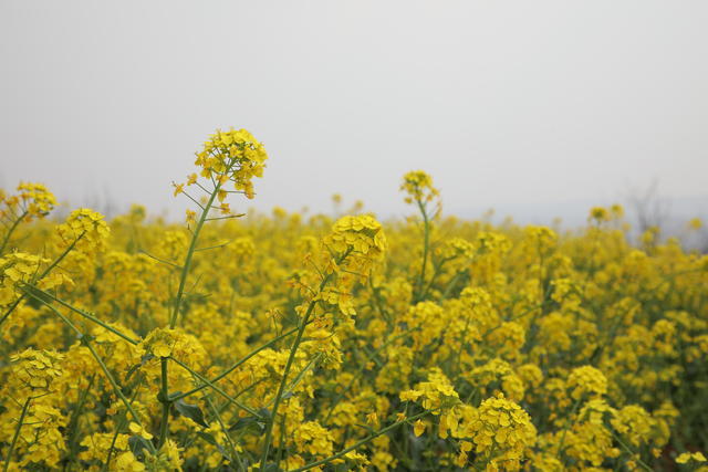 θ����һ����