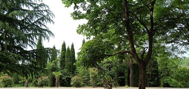 <a href=https://www.shuisutang.com.cn/ target=_blank class=infotextkey>ˮ����</a>