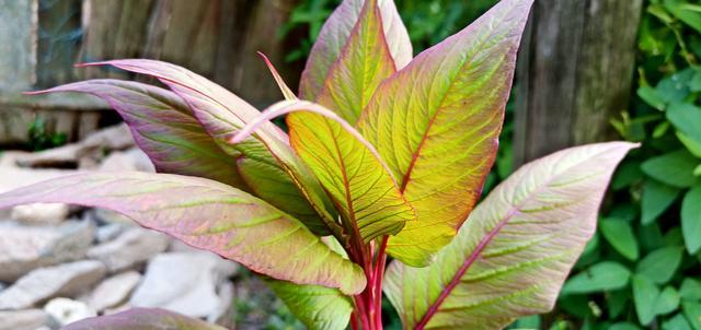 �������Դ����ر��