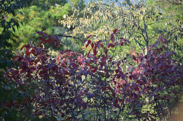 <a href=https://www.shuisutang.com.cn/ target=_blank class=infotextkey>ˮ����</a>