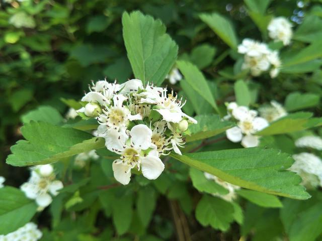 <a href=https://www.shuisutang.com.cn/ target=_blank class=infotextkey>ˮ����</a>