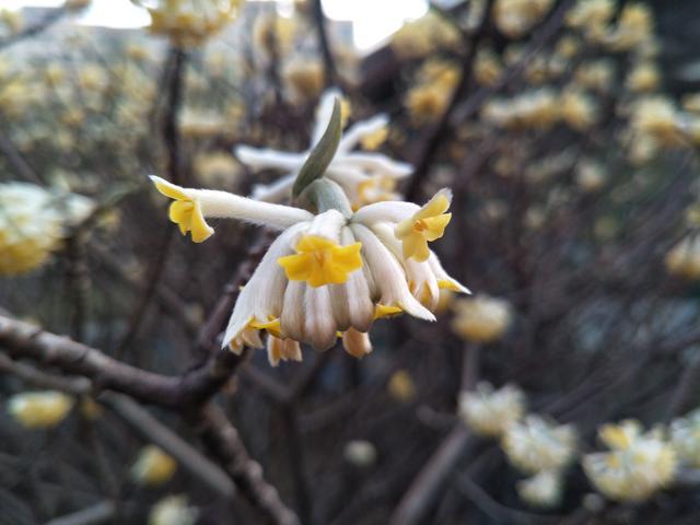 �������ʲôʳ��