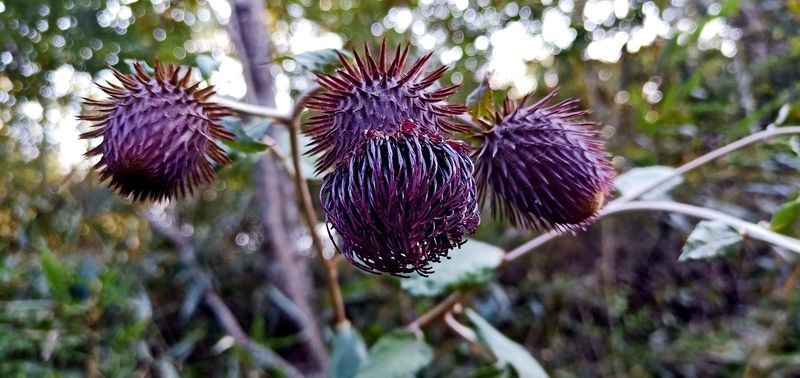 �䶳�Ľ�����ô����