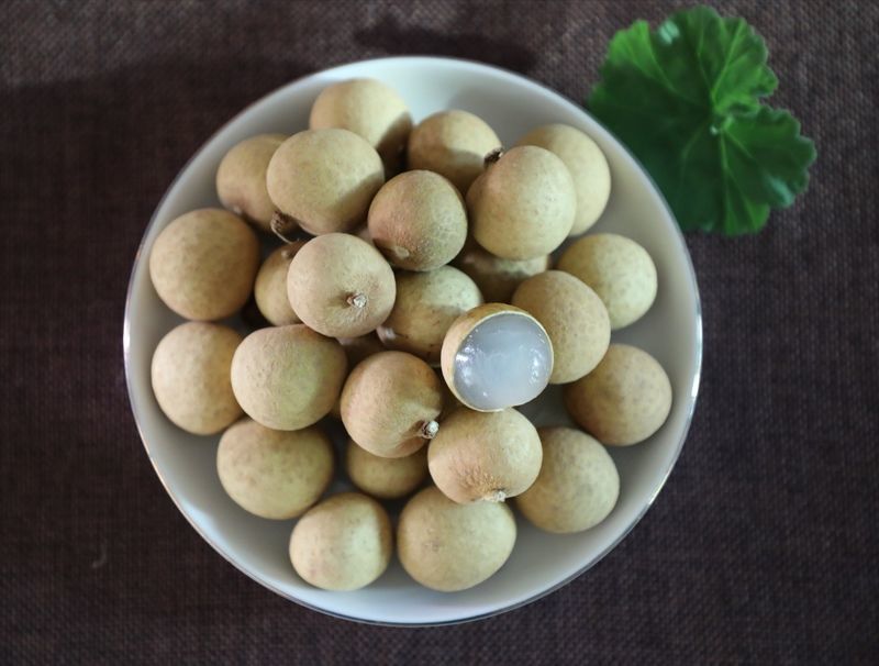 牛肉燉蘿卜冰箱放多久