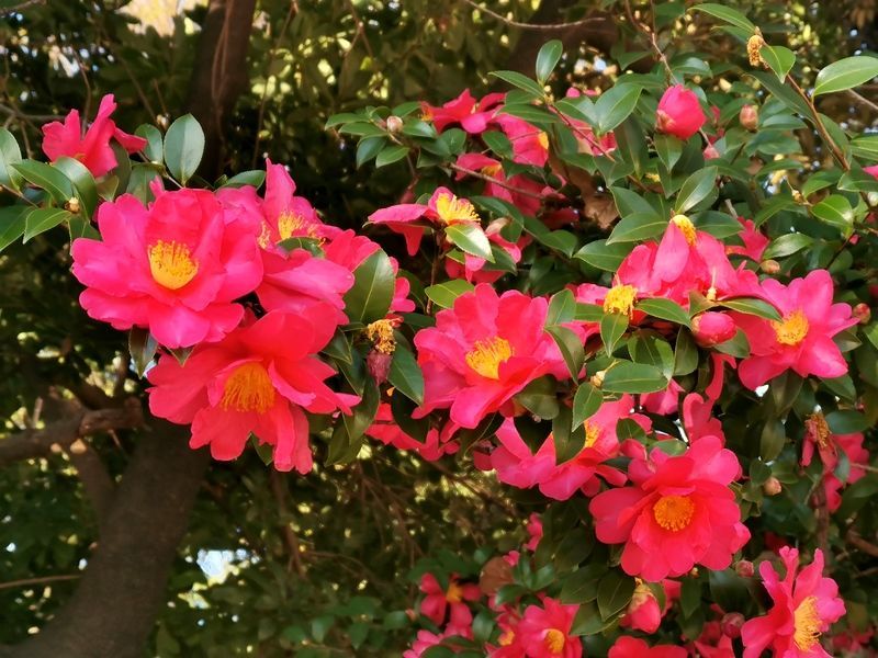 世界杯2022外围预选赛直播