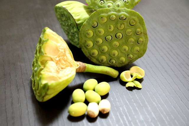 ���ڽ�����ô���ó�����