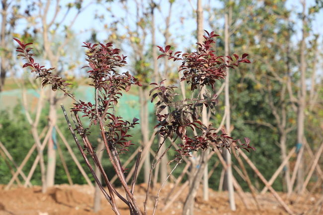 ���ƨ����������ô����