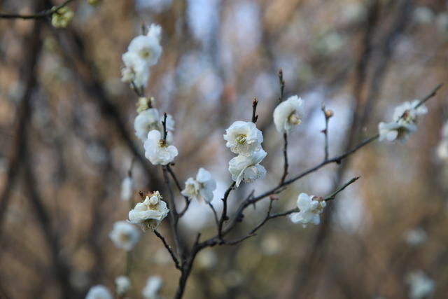 怎样才能帮助脾胃消化
