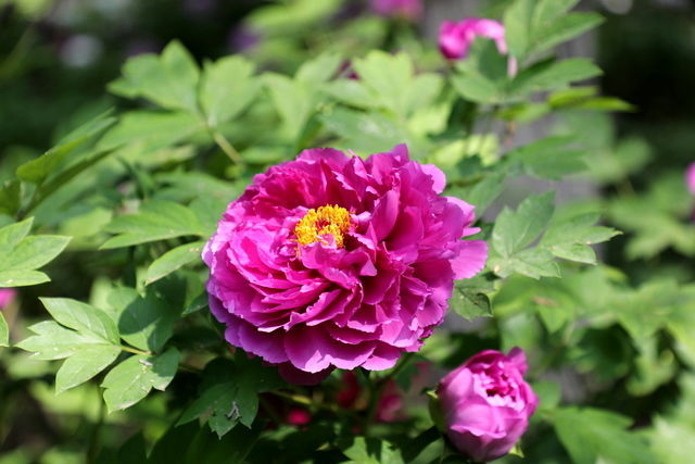 <a href=https://www.shuisutang.com.cn/ target=_blank class=infotextkey>ˮ����</a>