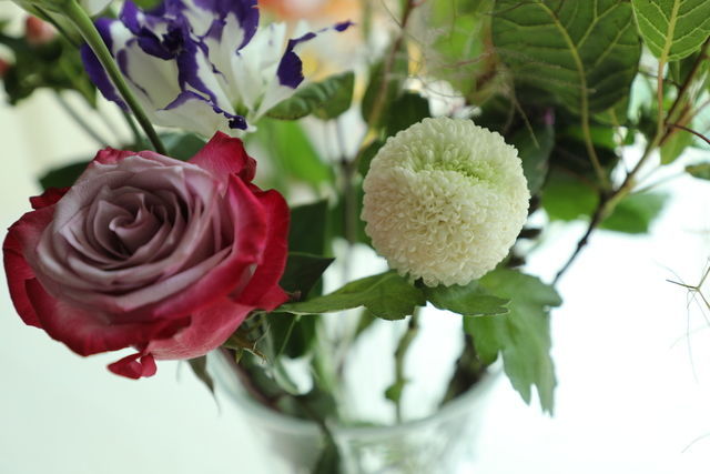 ��Ƥ�廨����ô���t����ó�